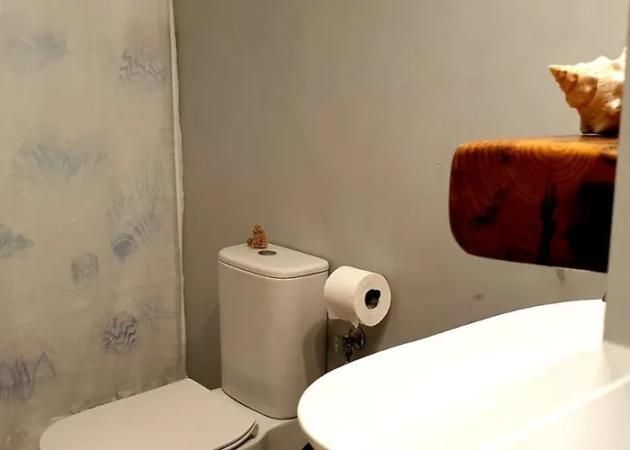 فيلة εν πλω *